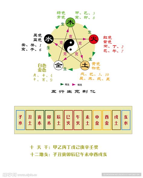 酉五行|天干地支五行对照表图 阴阳五行